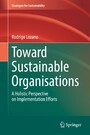 Toward Sustainable Organisations - A Holistic Perspective on Implementation Efforts