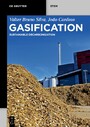 Gasification - Sustainable Decarbonization