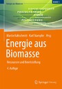Energie aus Biomasse - Ressourcen und Bereitstellung