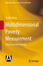 Multidimensional Poverty Measurement - Theory and Methodology