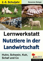 Lernwerkstatt Nutztiere in der Landwirtschaft - Huhn, Schwein, Kuh, Schaf und Co